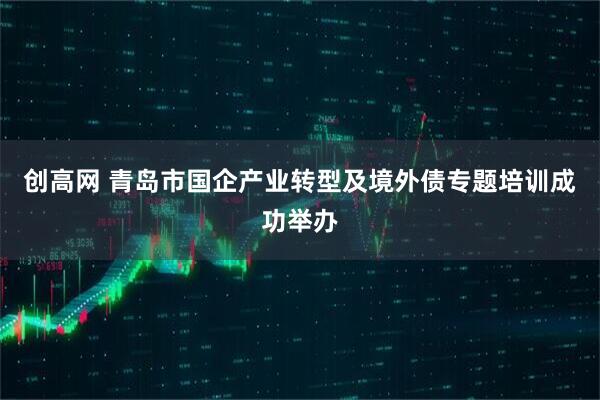 创高网 青岛市国企产业转型及境外债专题培训成功举办