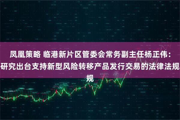 凤凰策略 临港新片区管委会常务副主任杨正伟：研究出台支持新型风险转移产品发行交易的法律法规
