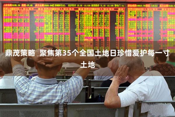 鼎茂策略  聚焦第35个全国土地日珍惜爱护每一寸土地