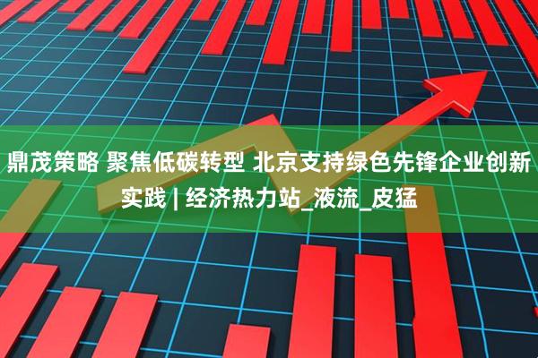 鼎茂策略 聚焦低碳转型 北京支持绿色先锋企业创新实践 | 经济热力站_液流_皮猛