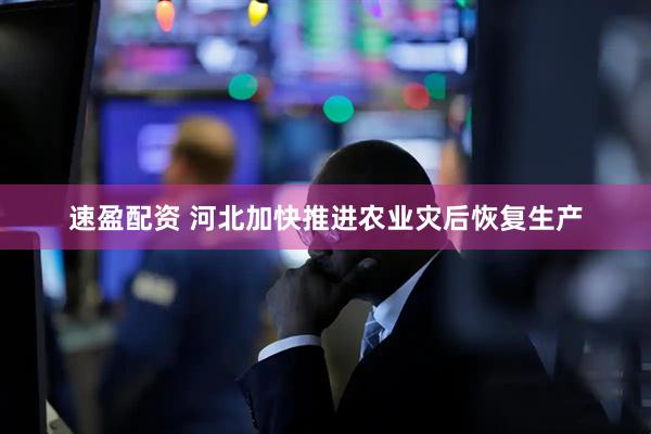 速盈配资 河北加快推进农业灾后恢复生产