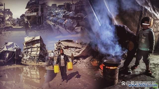 哈马斯为何同意放弃武装