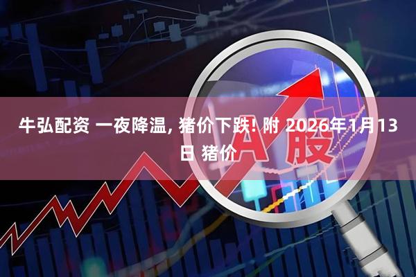 牛弘配资 一夜降温, 猪价下跌! 附 2026年1月13日 猪价